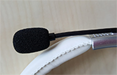 Transkription und Übersetzung Deutsch Englisch Spanisch Französisch und weitere europäische Sprachen